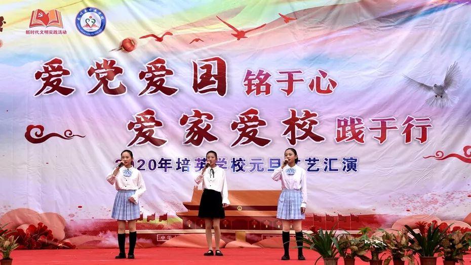 探索三杯鸡,浓油酱赤,香气扑鼻,江湖菜怎么做?,开启知识星球的奇妙旅程